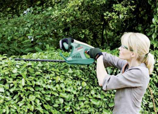 Taille haie BOSCH -
